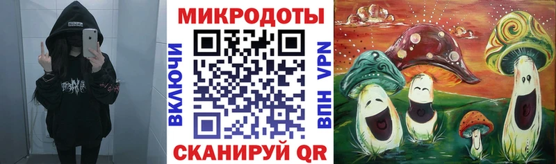 Псилоцибиновые грибы ЛСД  mega онион  Черноголовка 